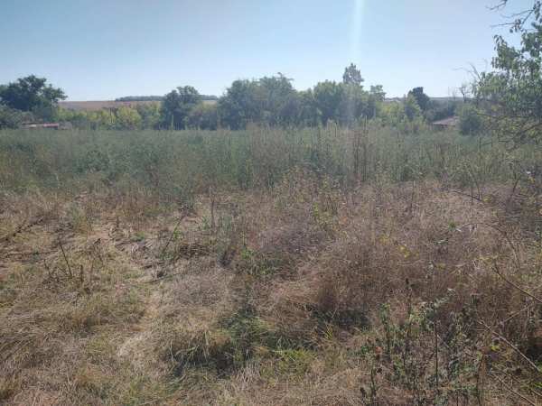 Продава парцел, с. изворово, област добрич