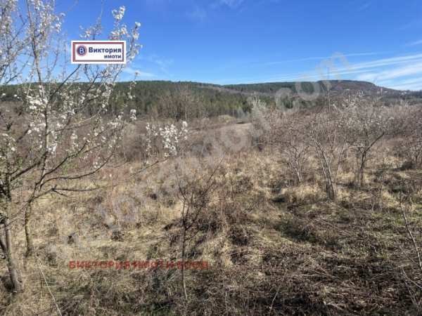Продава парцел, с. малки чифлик, област велико търново
