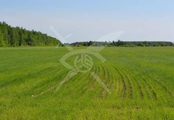 Продава парцел, с. баня, област бургас