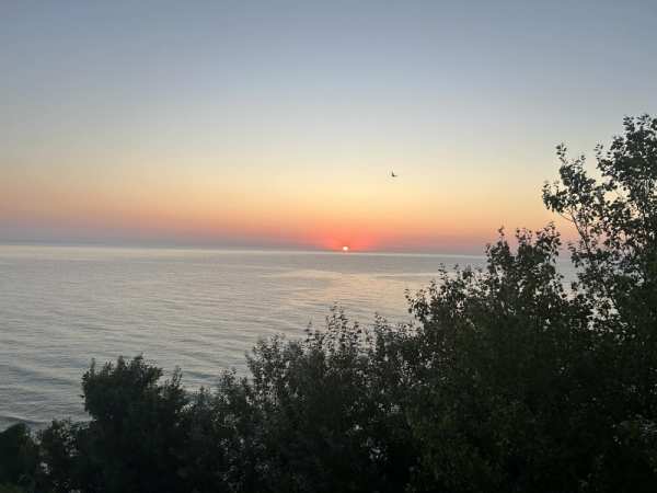 Продава  многостаен гр. Бяла, област Варна
      255 кв.м