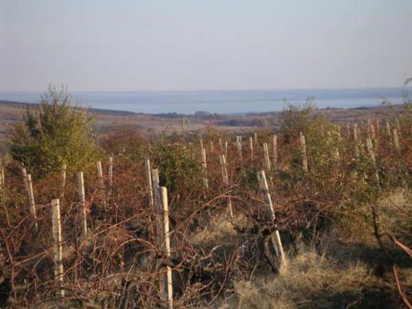 Продава парцел, с. баня, област бургас
