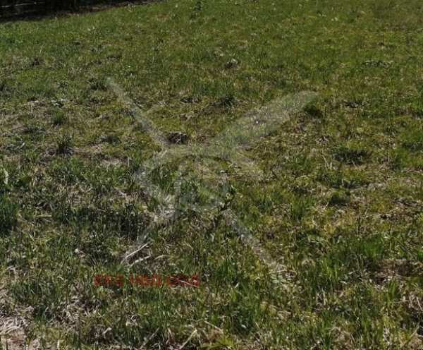 Продава парцел, с. караджалово, област пловдив