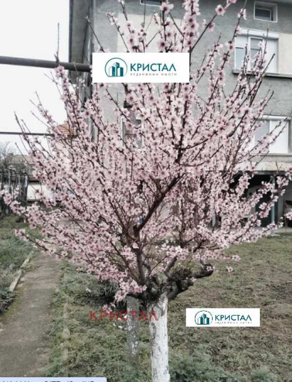 Продава къща, гр. баня, област пловдив