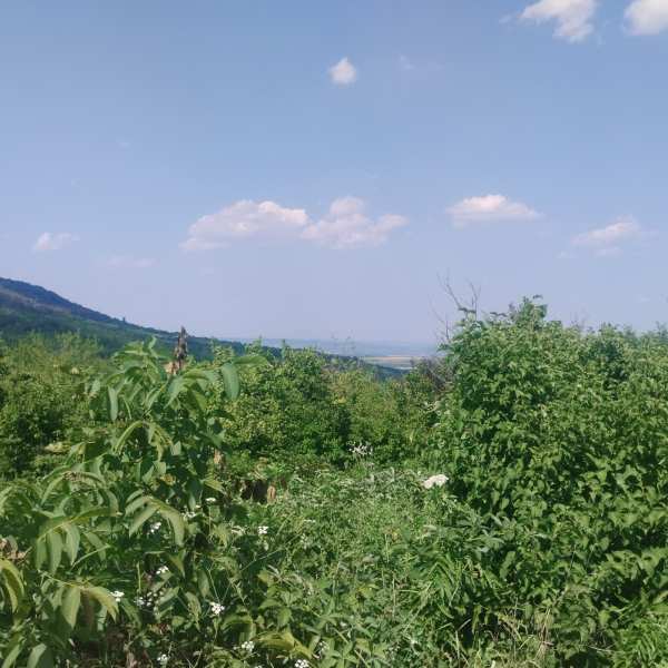 Продава парцел, с. шереметя, област велико търново