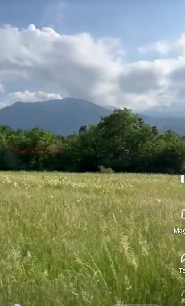 Продава парцел, гр. вършец, област монтана