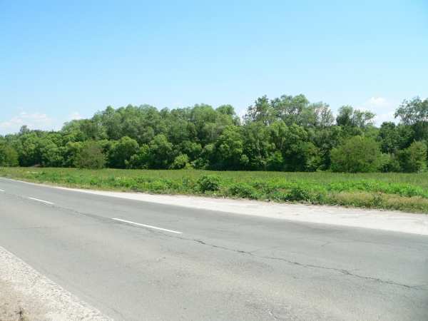 Дава под наем земеделска земя, гр. лясковец, област велико търново