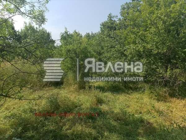Продава парцел, с. фазаново, област бургас