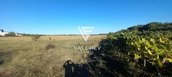 Продава земеделска земя, с. шкорпиловци, област варна