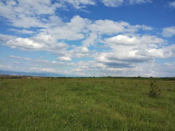 Продава земеделска земя, с. братя даскалови, област стара загора