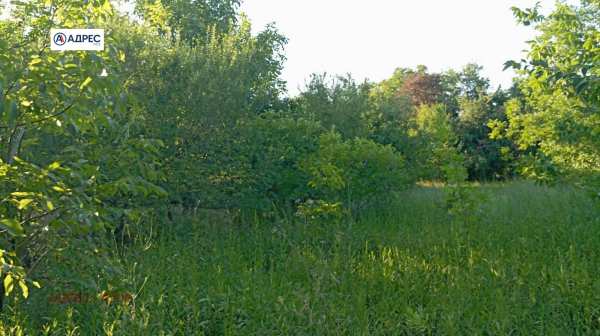 Продава парцел, с. борисово, област русе