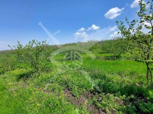 Продава парцел, с. драчево, област бургас