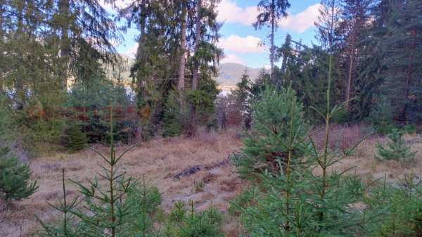 Продава парцел, гр. сърница, област пазарджик
