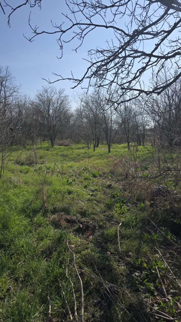 Продава парцел, с. момино село, област пловдив
