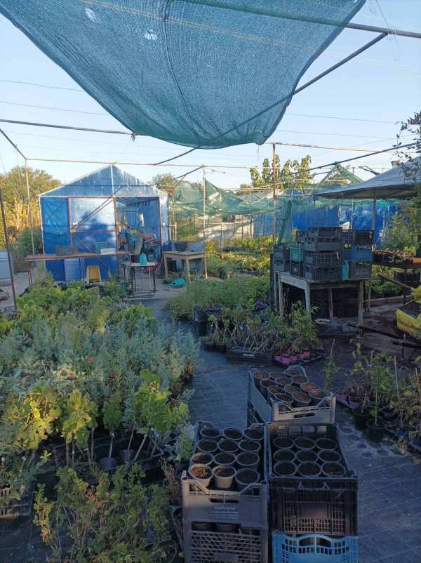 Продава парцел, с. сърнево, област стара загора