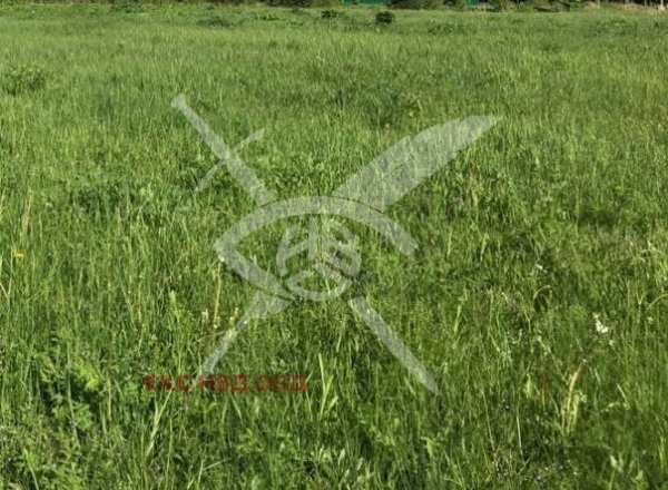 Продава парцел, с. брестник, област пловдив