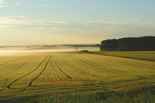 Продава земеделска земя, с. владимирово, област добрич