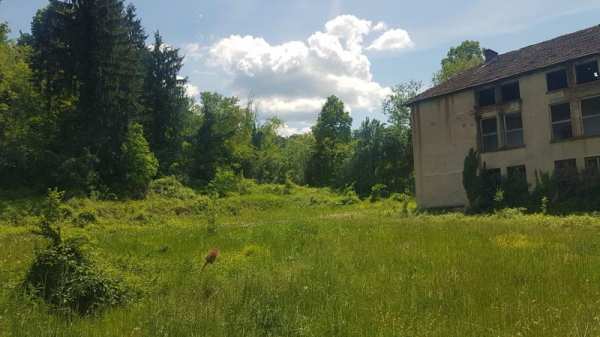 Продава бизнес имот, гр. берковица, област монтана