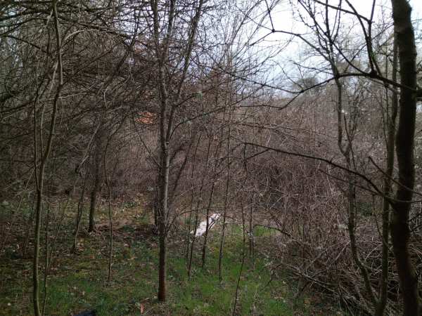 Продава парцел, с. поцърненци, област перник