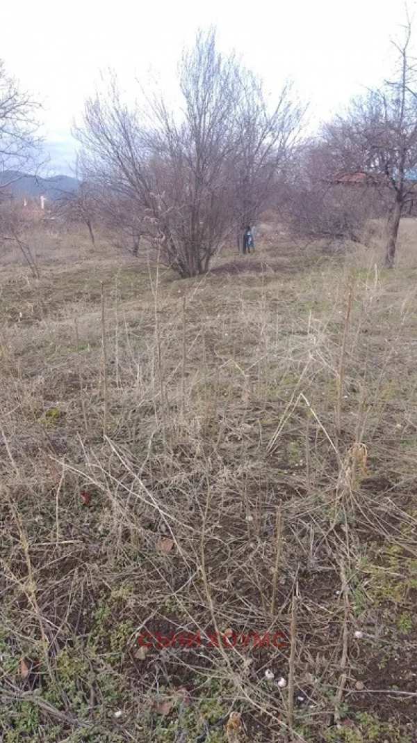 Продава парцел, с. леденик, област велико търново