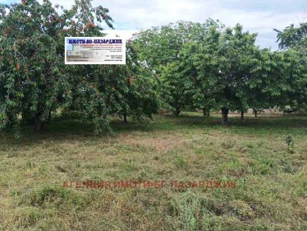 Продава парцел, с. хаджиево, област пазарджик