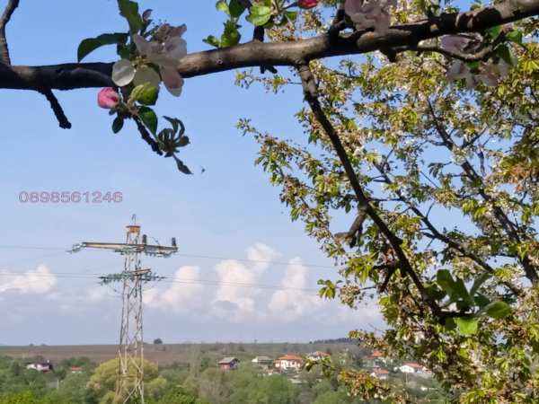 Продава парцел, с. голяновци, област софия област