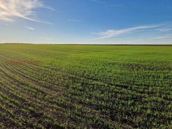 Продава парцел, гр. поморие, област бургас