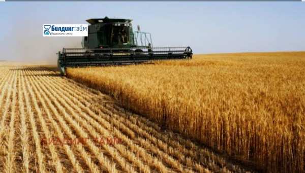 Продава земеделска земя, с. кълново, област шумен