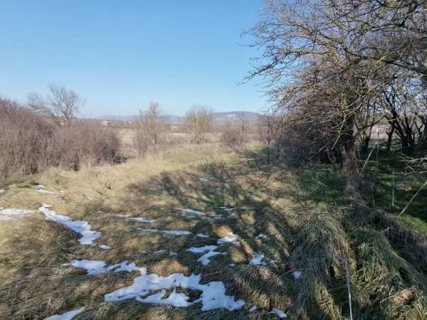Продава парцел, с. зайчино ореше, област шумен