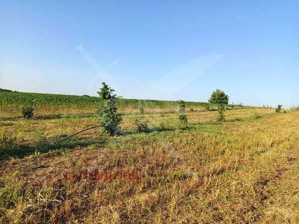 Продава парцел, с. червен, област пловдив