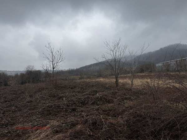 Продава парцел, с. спанчевци, област монтана