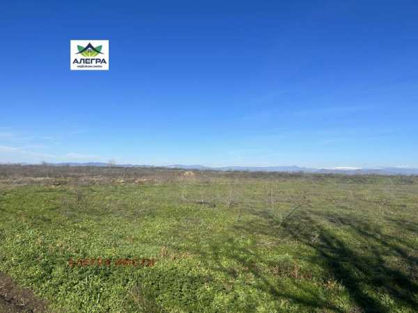Продава парцел, с. добровница, област пазарджик