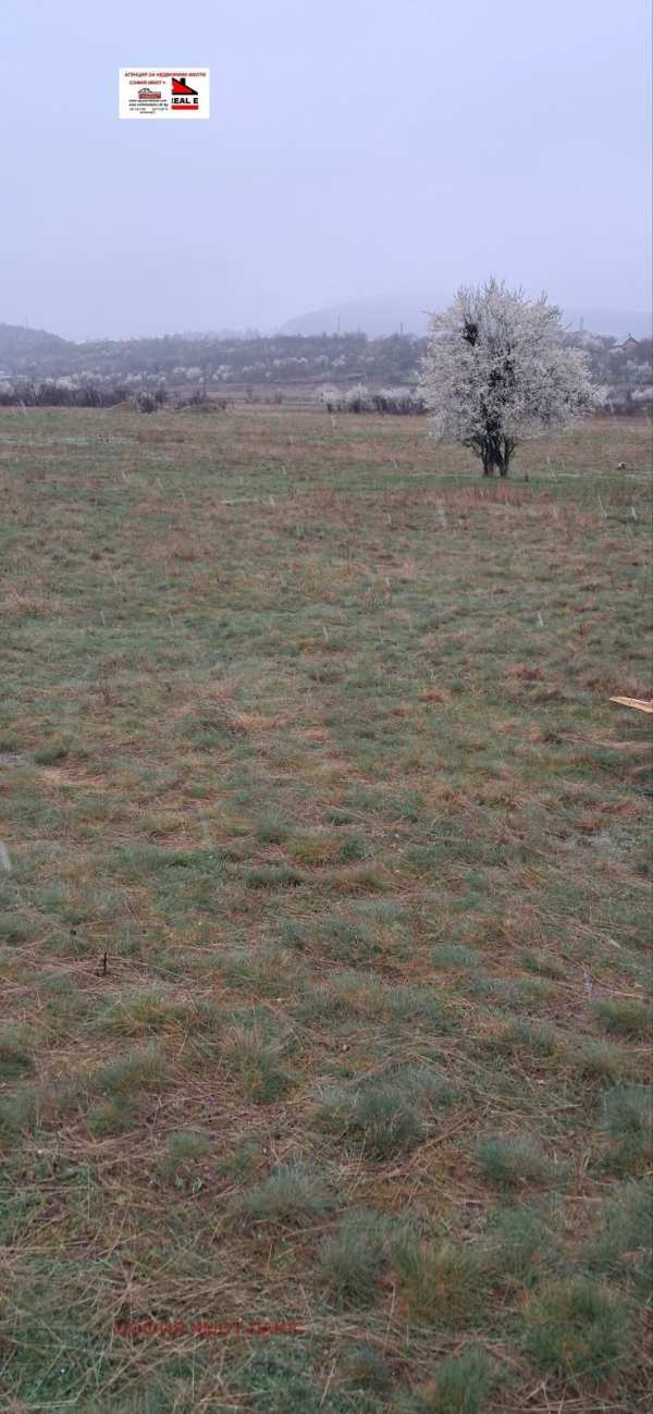 Продава земеделска земя, с. слокощица, област кюстендил