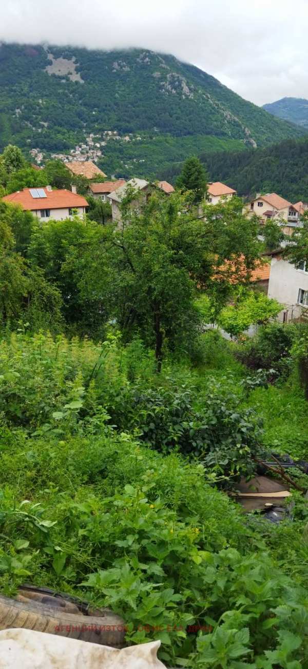 Продава парцел, гр. своге, област софия област