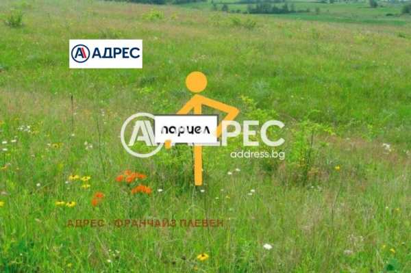 Продава земеделска земя, с. тодорово, област плевен