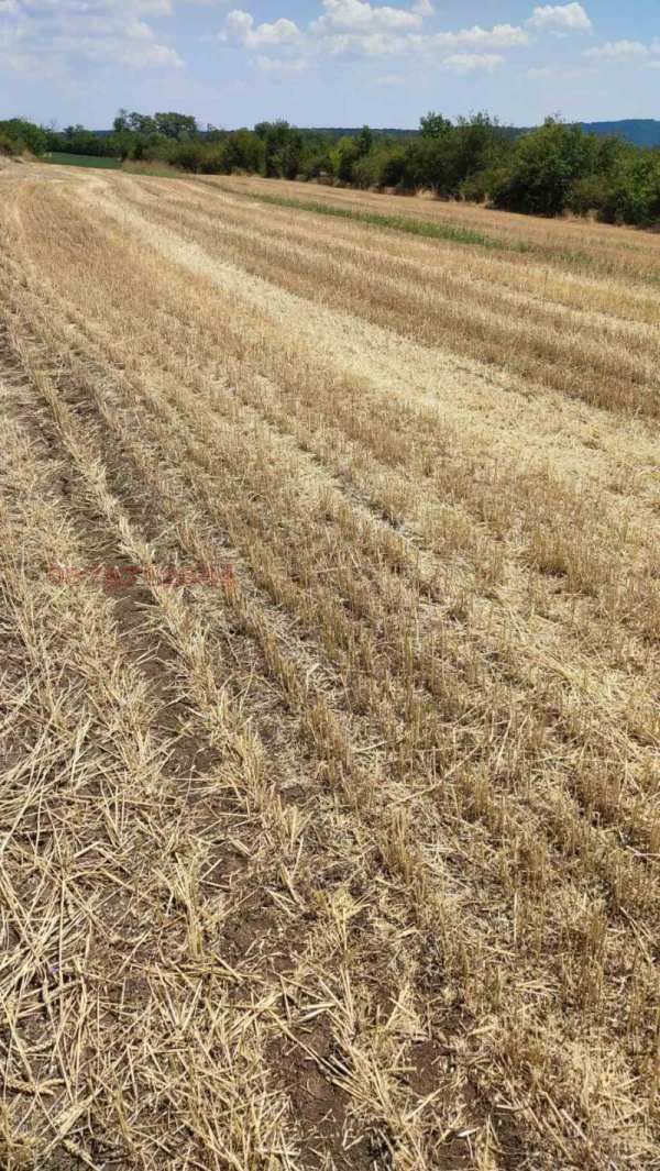 Продава  земеделска земя с. Сейдол, област Разград
      8.845 дка