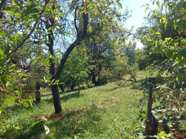 Продава парцел, с. радуил, област софия област