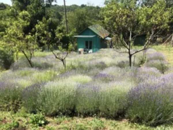 Продава вила, гр. русе, област русе