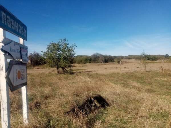 Продава парцел, с. пауново, област софия област