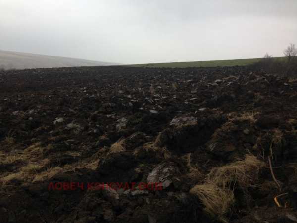 Дава под наем земеделска земя, гр. кнежа, област плевен