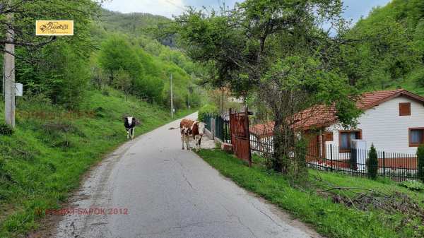 Продава парцел, с. васильово, област ловеч