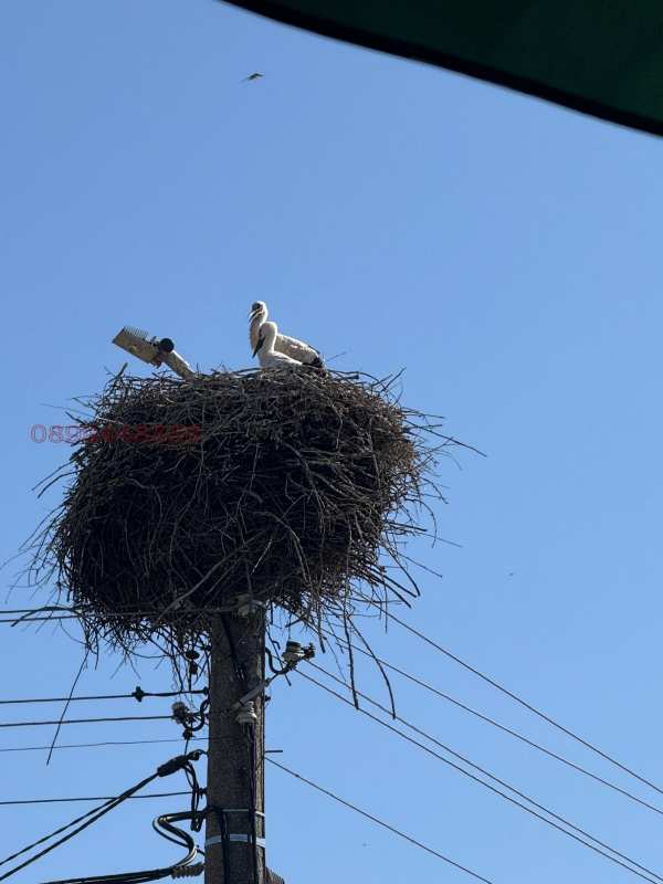 Продава парцел, с. рельово, област софия област