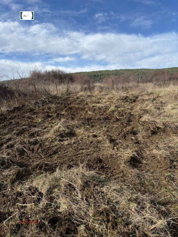 Продава парцел, с. горна диканя, област перник