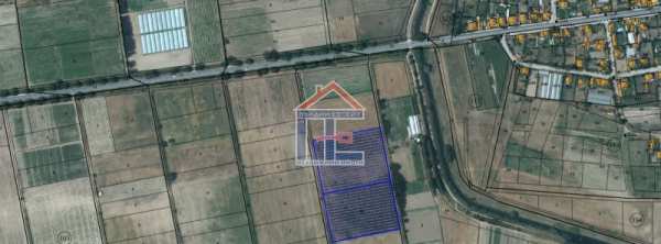 Продава  земеделска земя с. Братаница, област Пазарджик
      19 дка