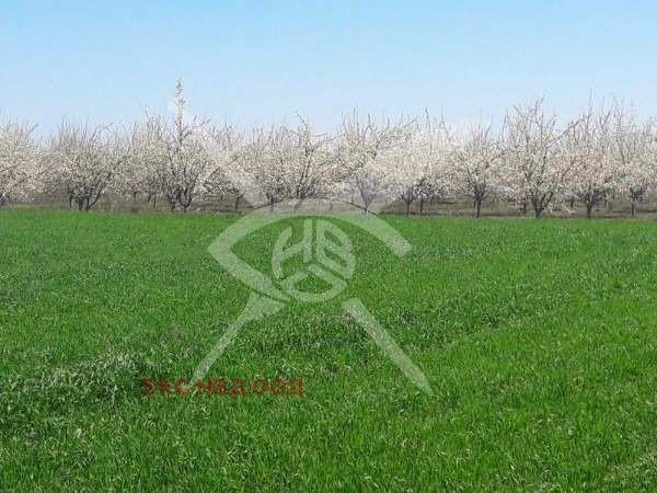 Продава парцел, с. цалапица, област пловдив