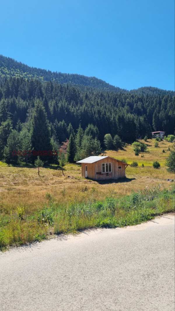Продава парцел, гр. сърница, област пазарджик