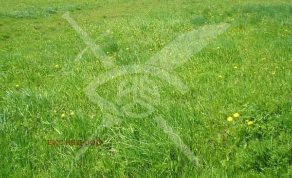 Продава парцел, с. извор, област пловдив