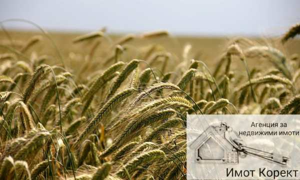 Продава земеделска земя, гр. асеновград, област пловдив