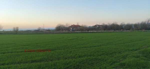 Продава парцел, с. голям чардак, област пловдив