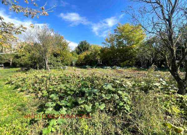 Продава парцел, с. коньово, област сливен