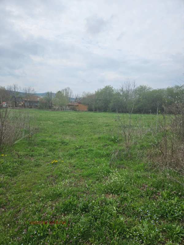 Продава парцел, с. осенец, област разград